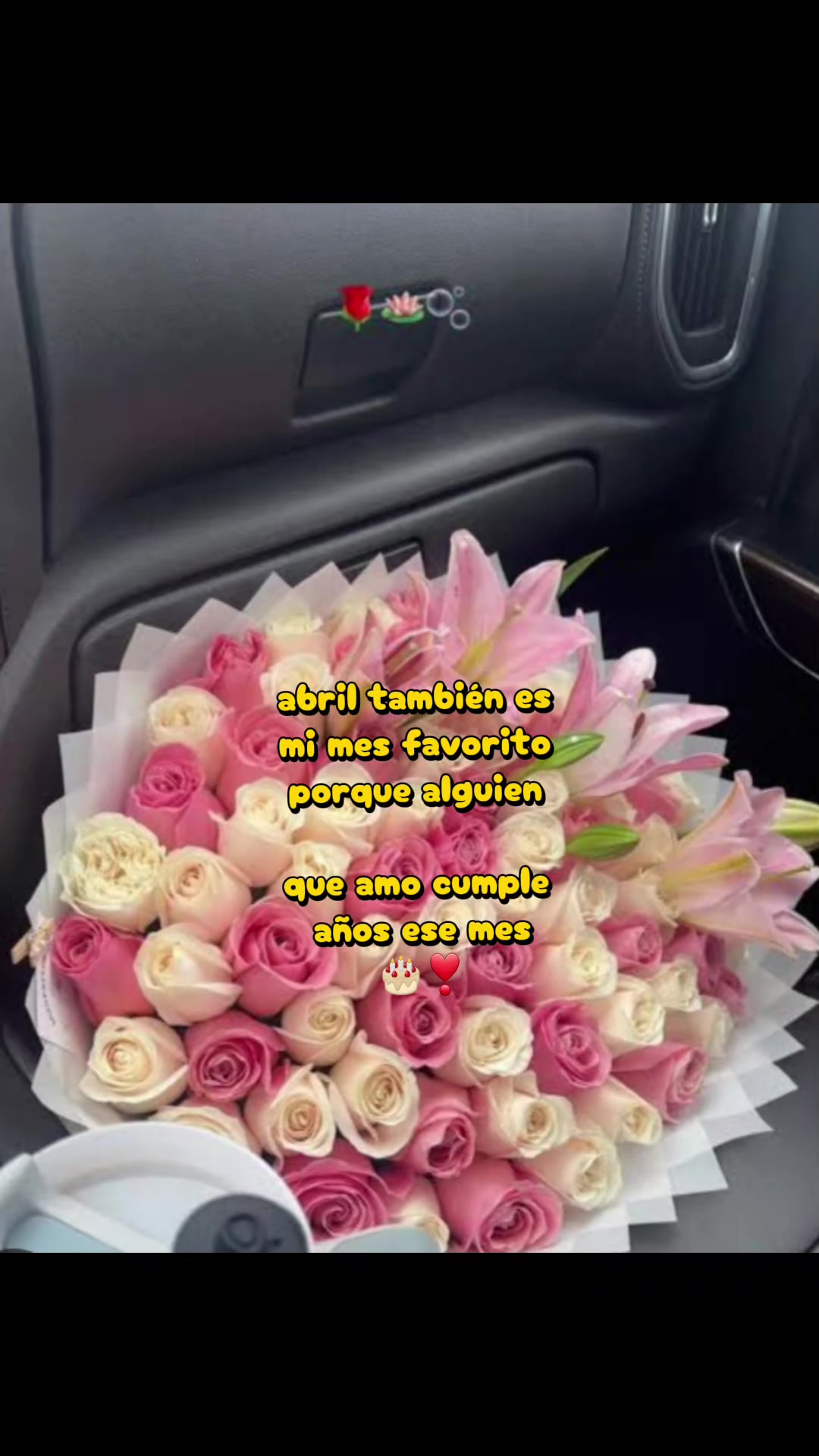 @mayli morgas