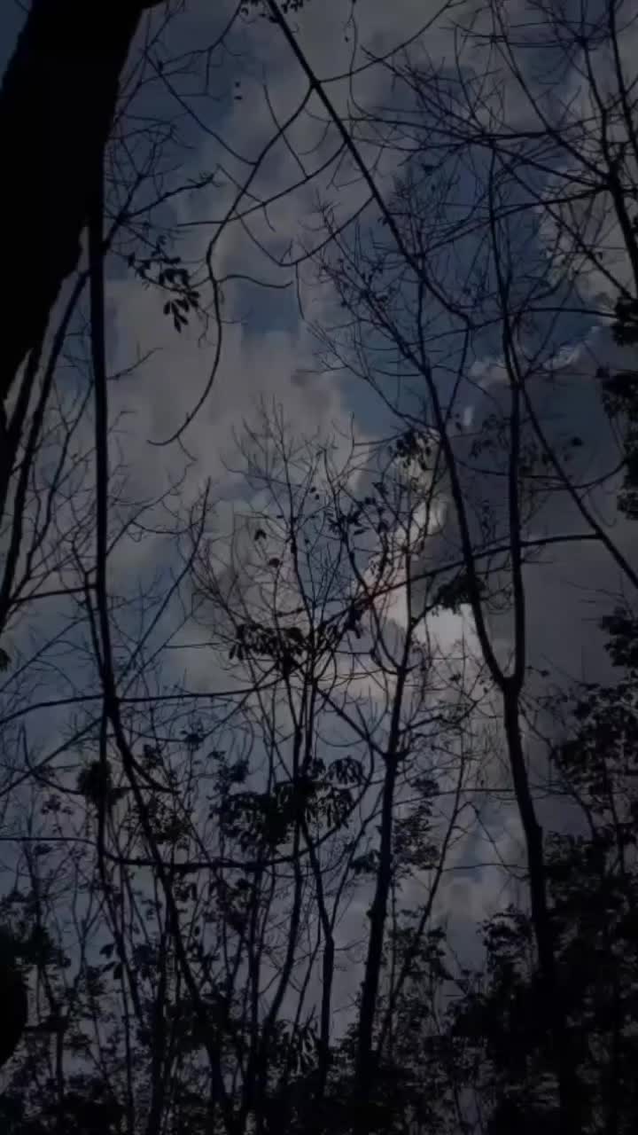 @dwikaputramahardika