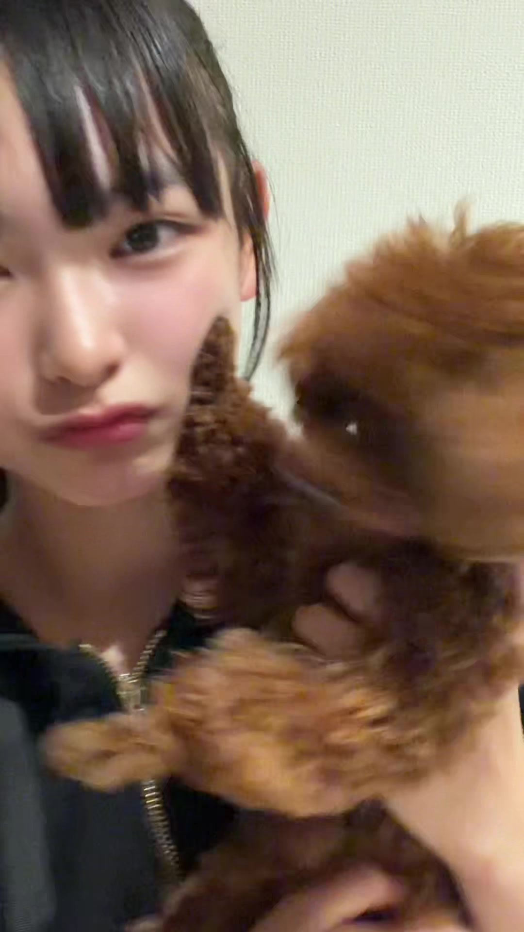 @吉永結香(よしながゆいか)🎼🖤