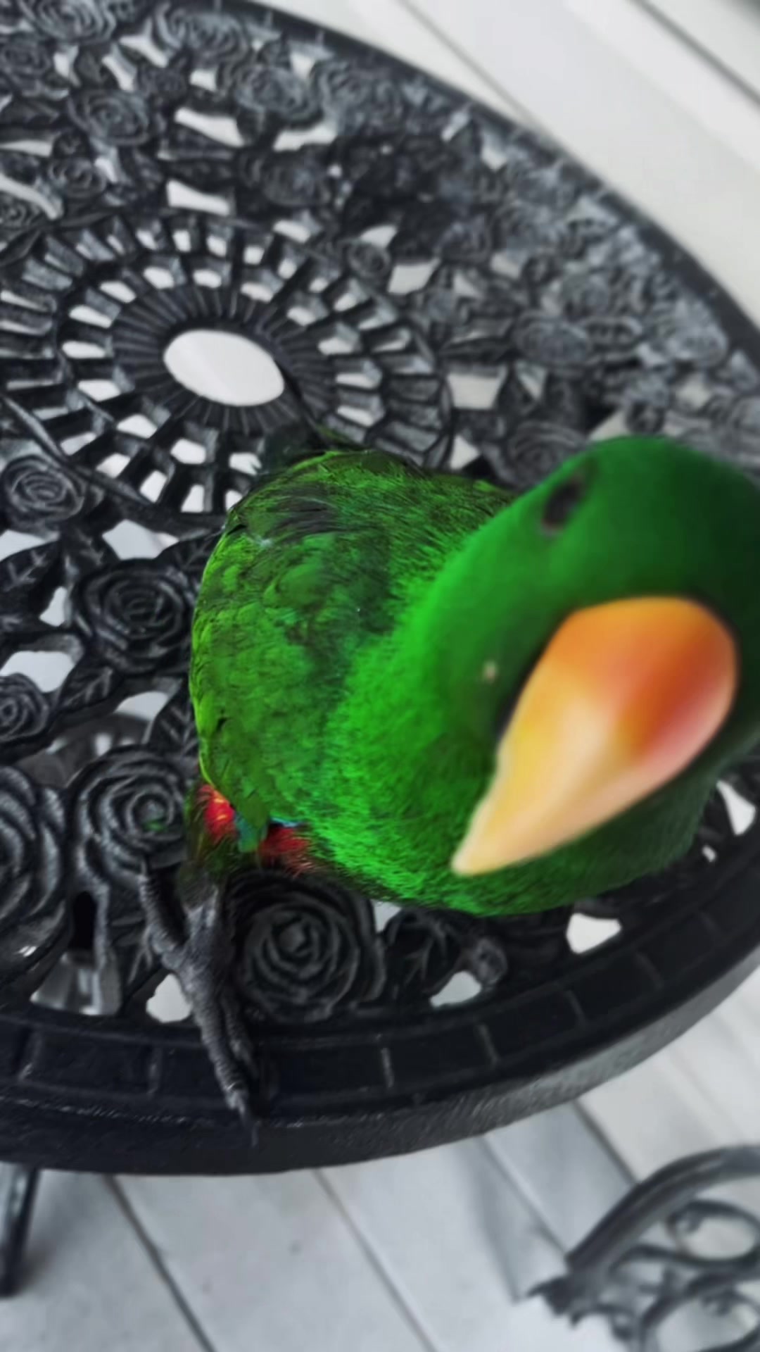 @๐ฃ๐ฌ๐ฏ๐ข๐ฆ๐ค๐ซ