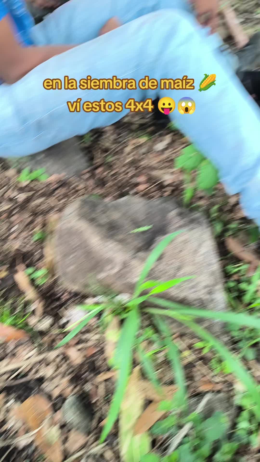 @๐๐๐๐๐๐๐ ๐๐๐๐๐๐แฏS®