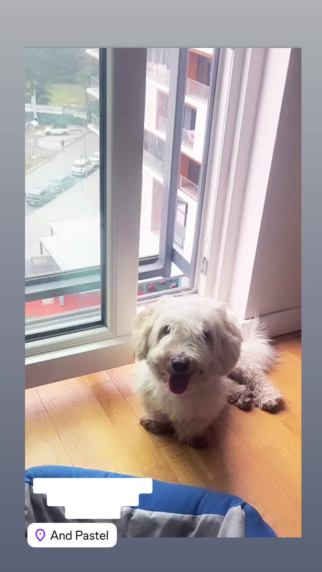 @Ilknur Yücel