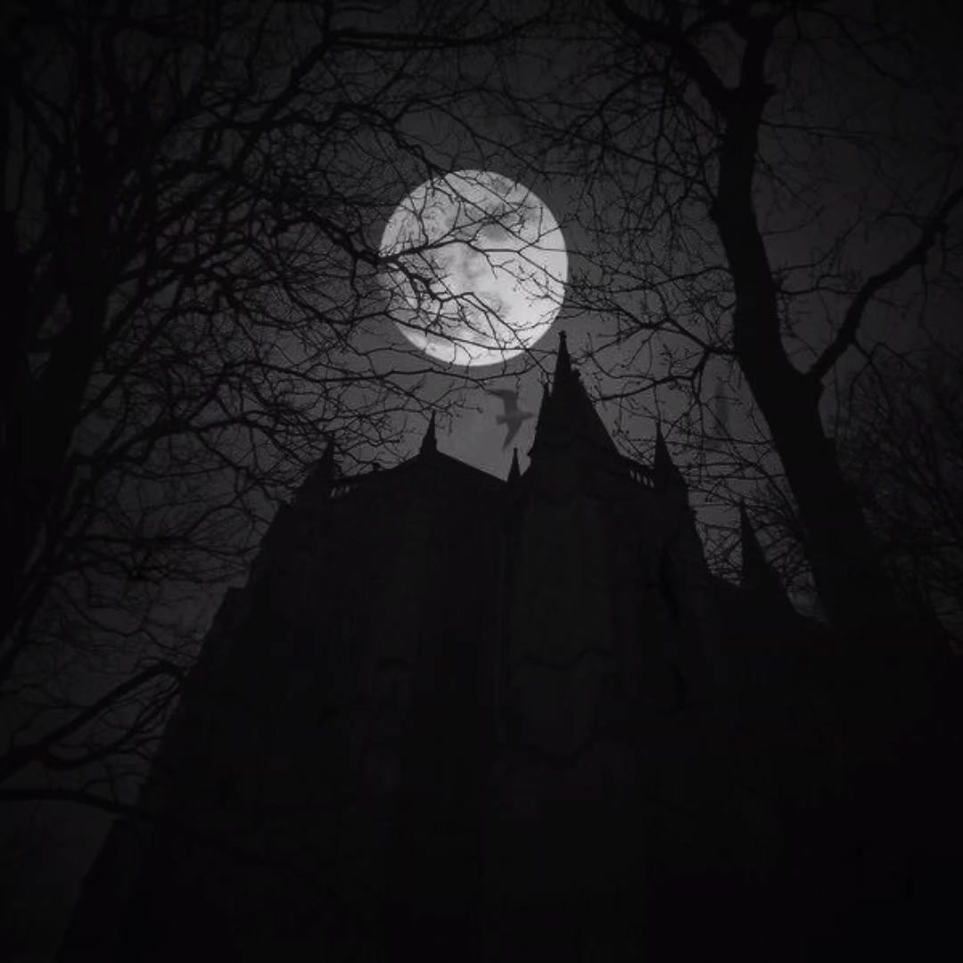 @𝐈𝐬𝐚𝐛𝐞𝐥𝐥𝐚 .⋆♱⃓