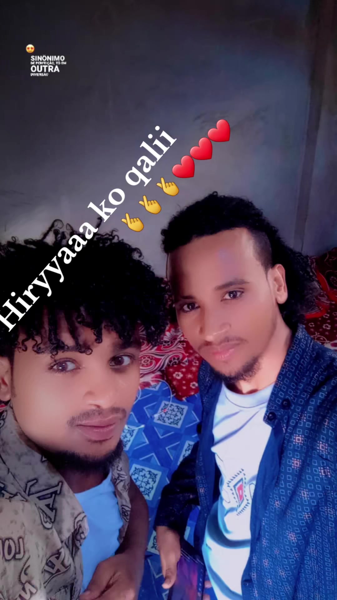 @shuguxii king