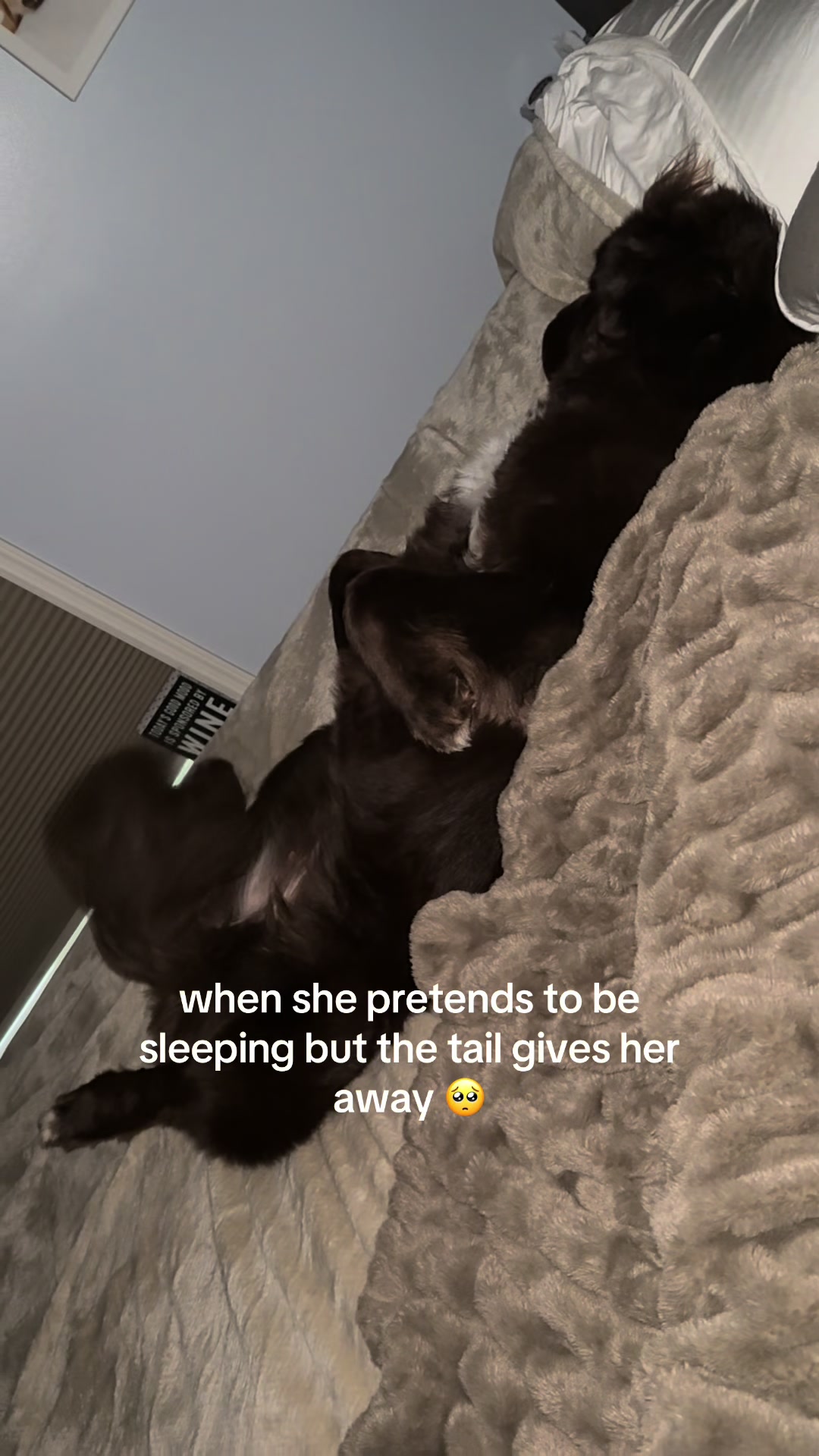@OluNewfs
