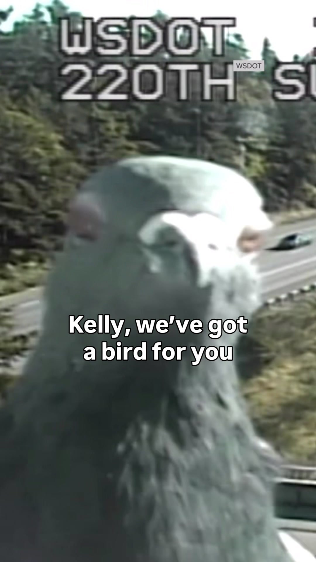 @Washington State DOT