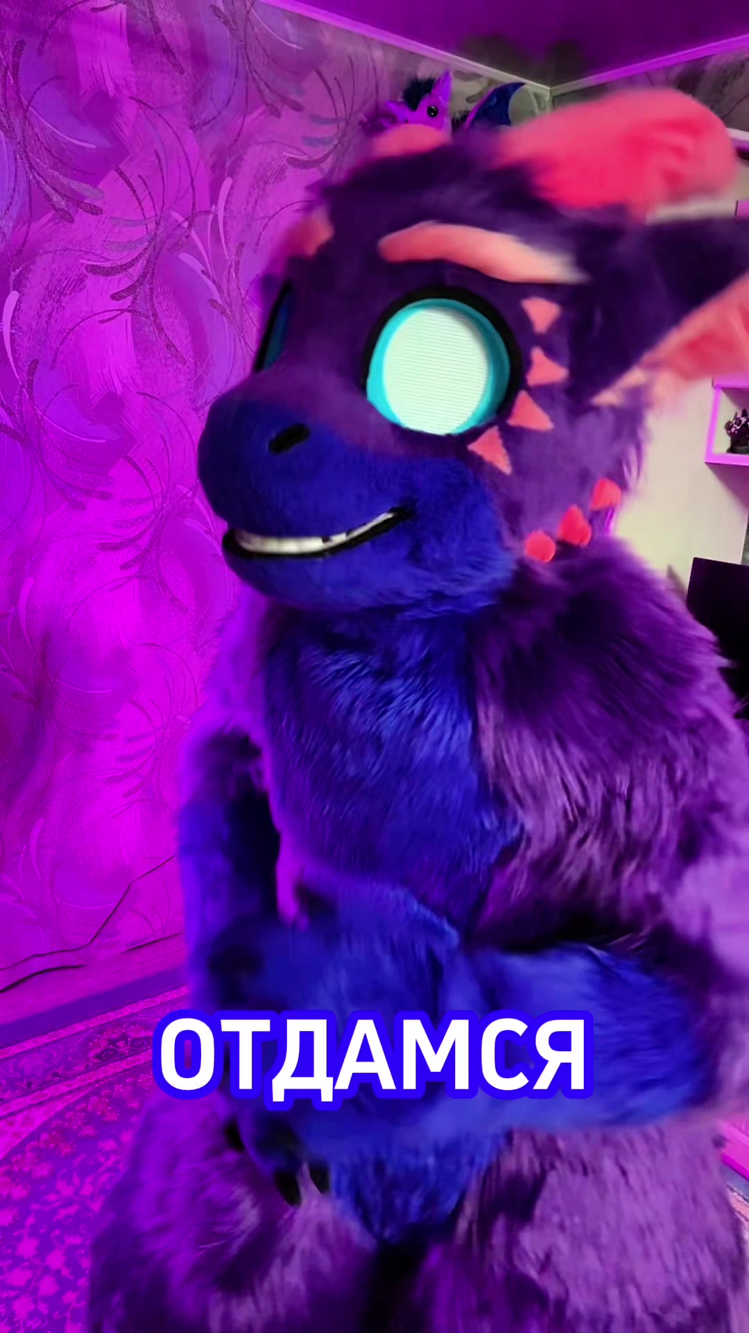 @🍇💠«𝓥𝓪𝓲𝓵 »💠🍇