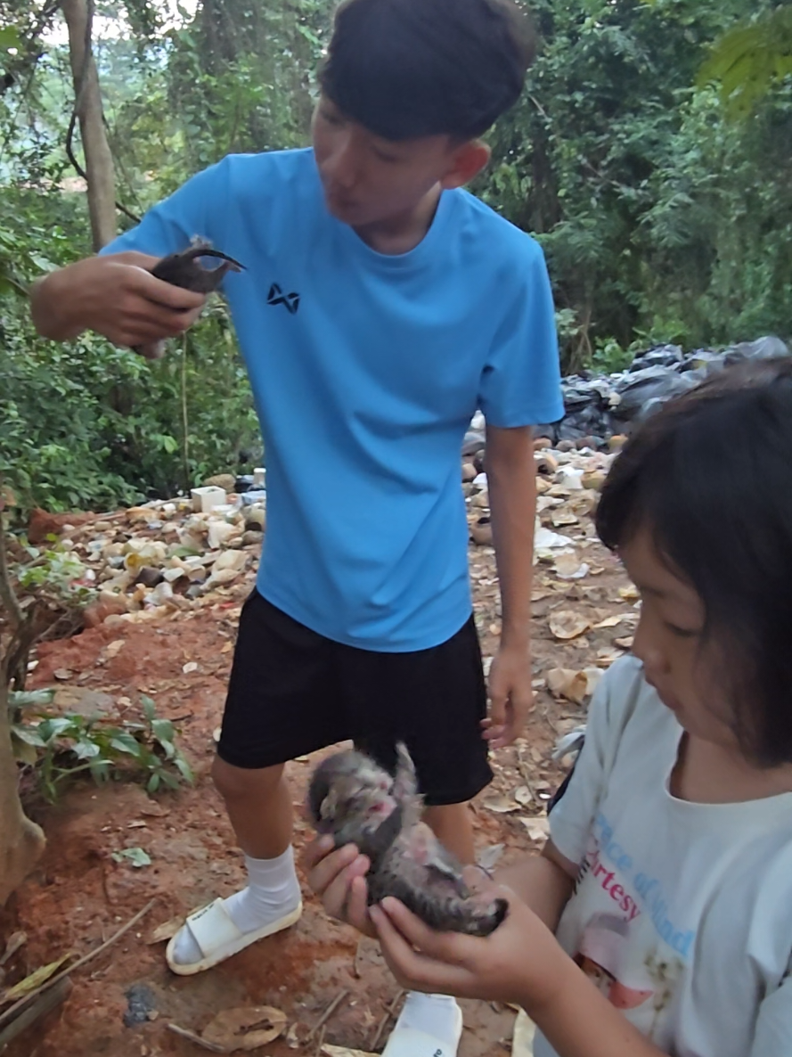 @ควาญแดง พลายภูพิงค์