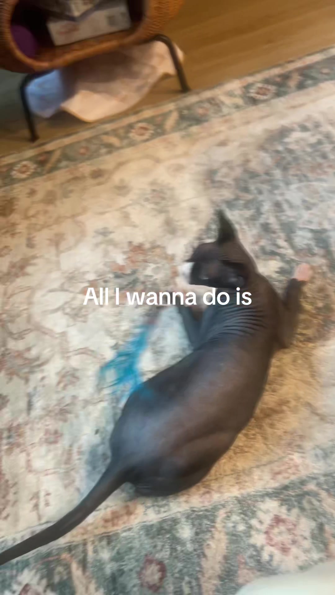 @scrawniest