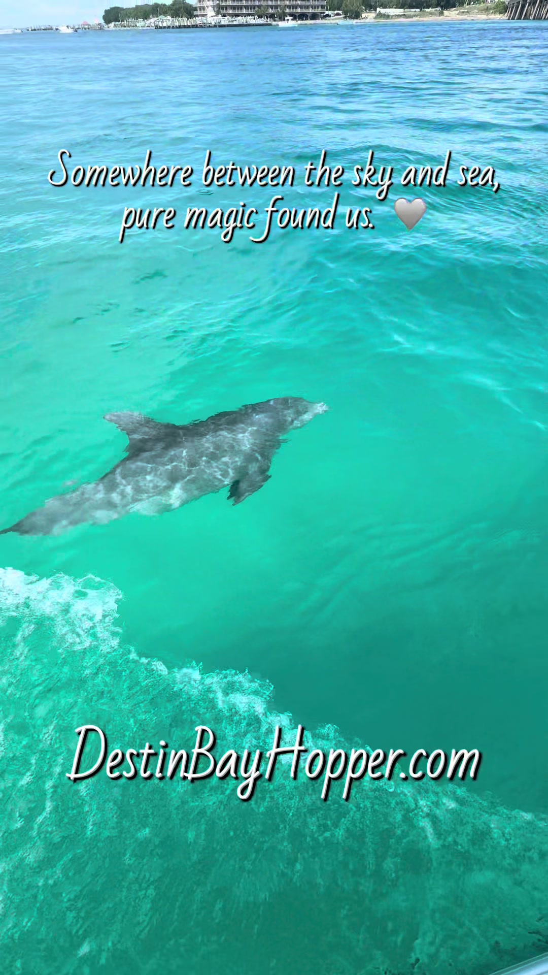 @Destin Bay Hopper