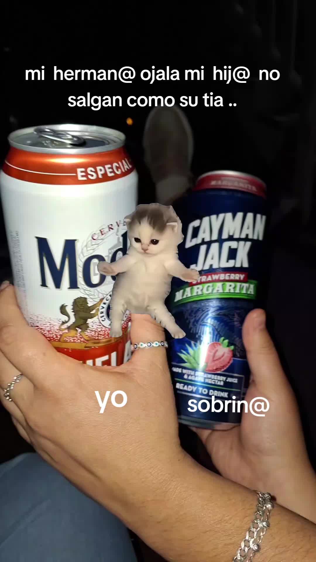 @Mt Meivis