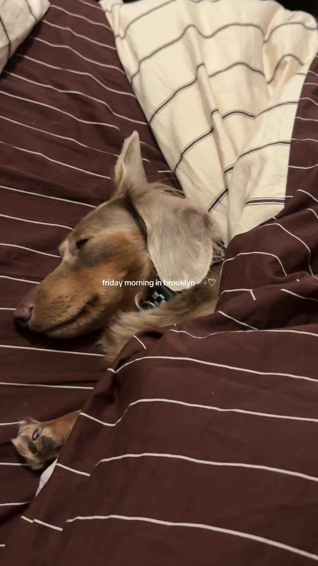 @tara