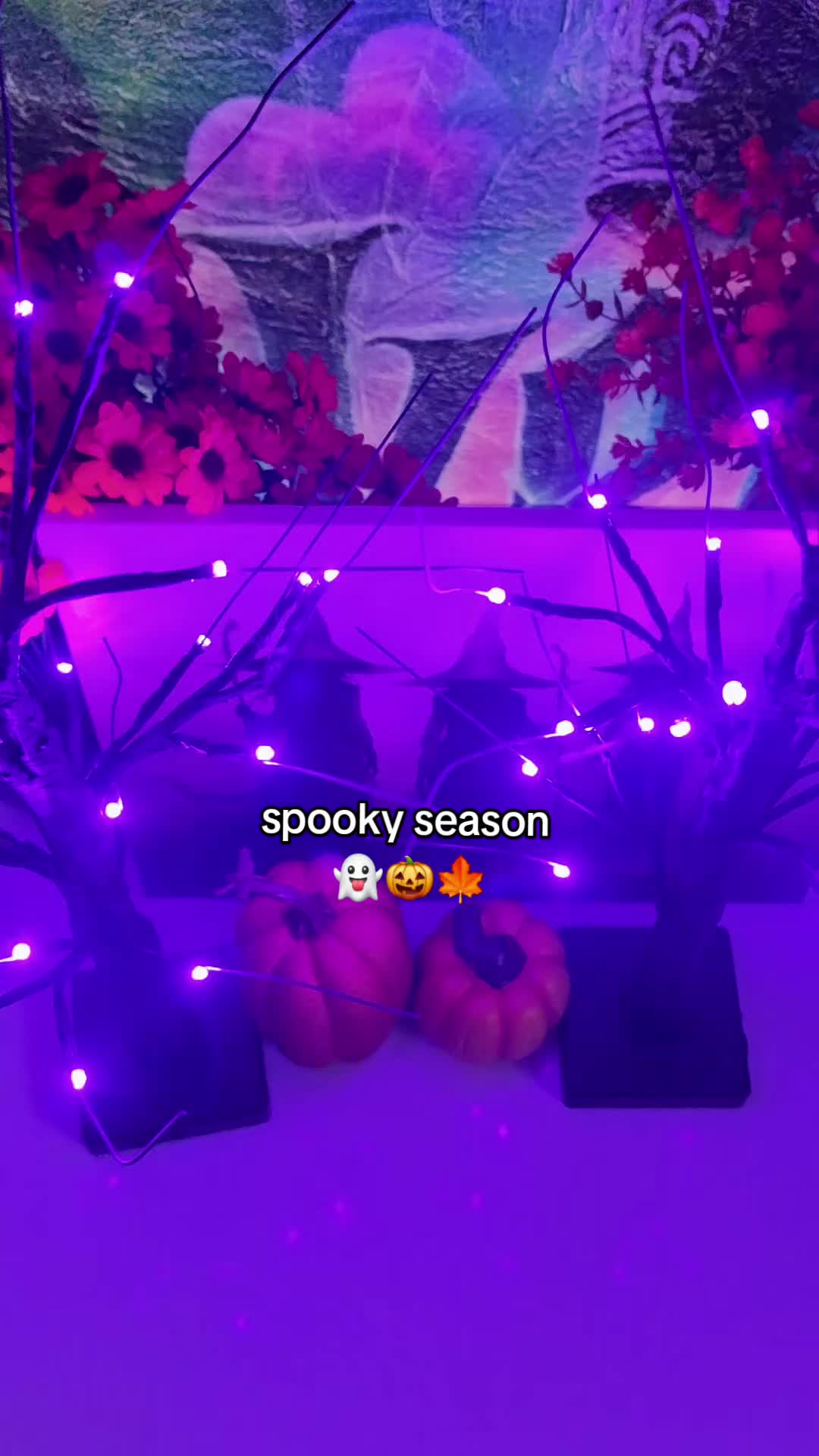 @Cathy (WB)