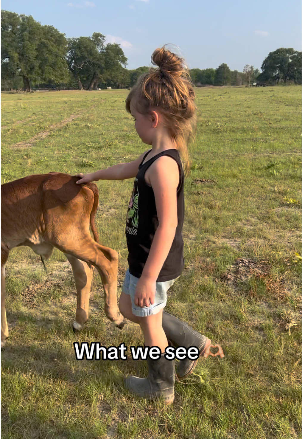 @The V6 Ranch