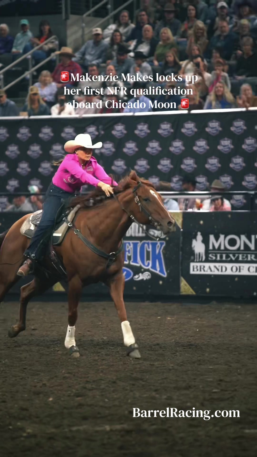 @BarrelRacing.com