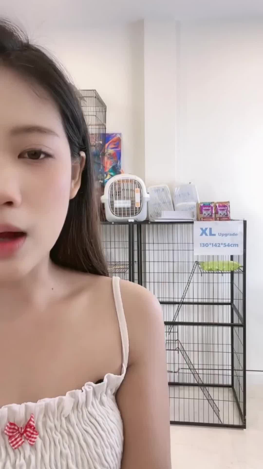 @petsland