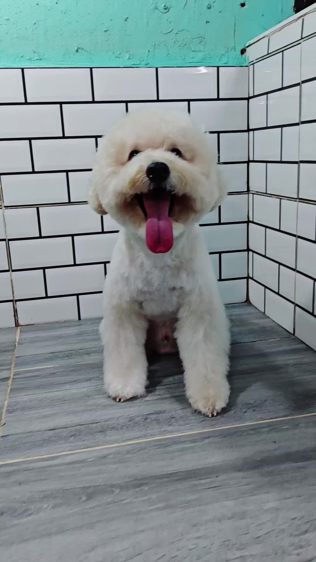 @Celynswiss Chuah