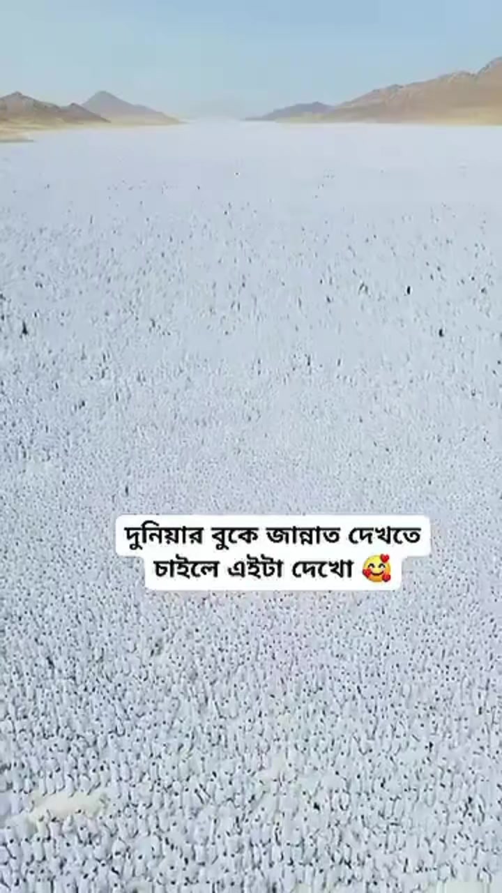 @ওয়াজিহার আম্মু