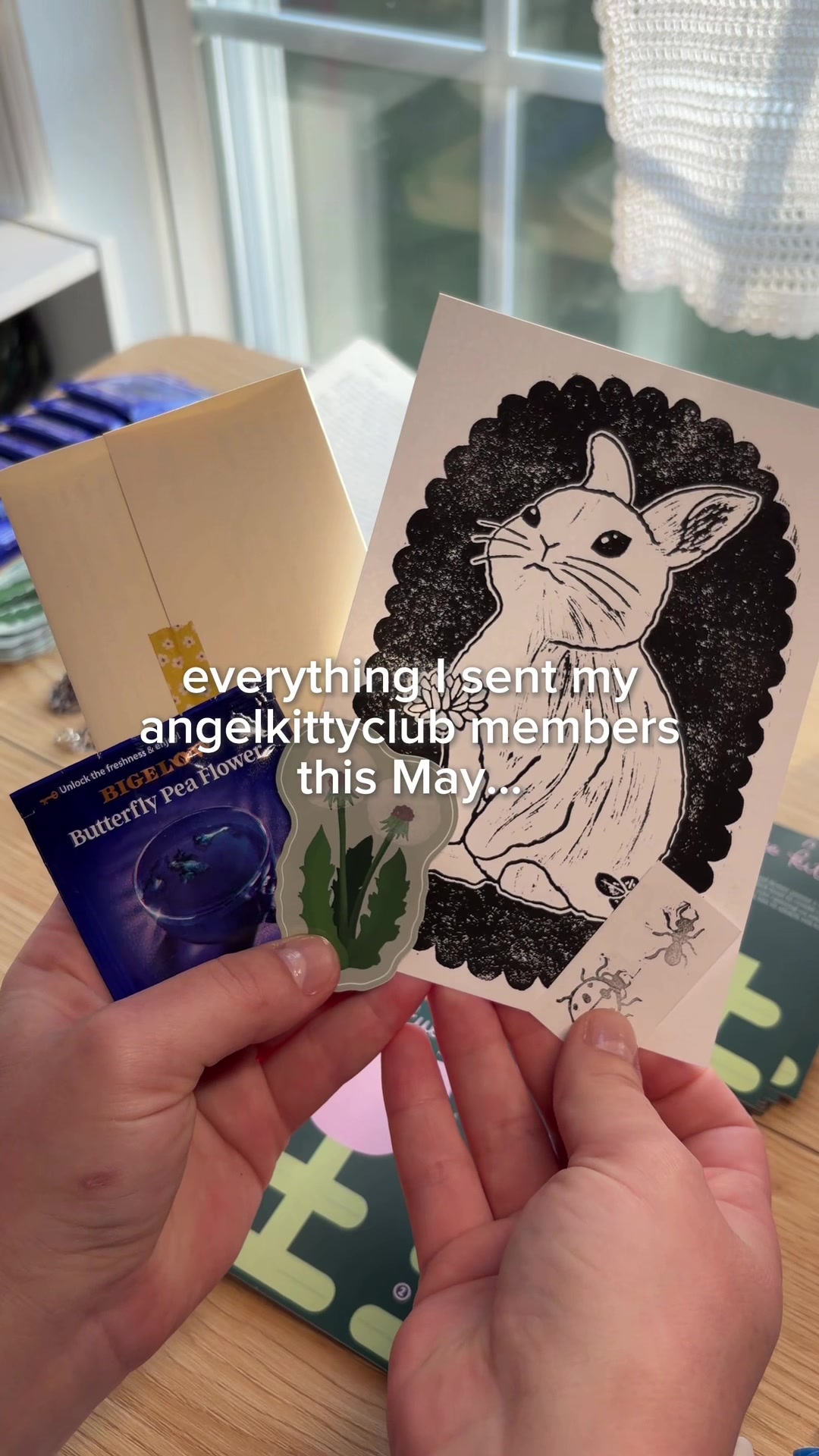 @julia ♡ the angelkittyclub