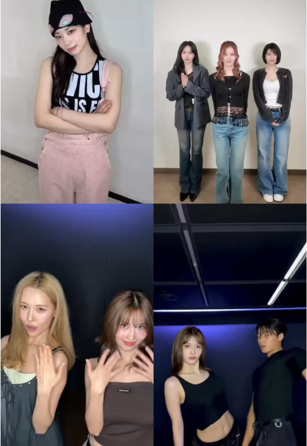 @MOMO