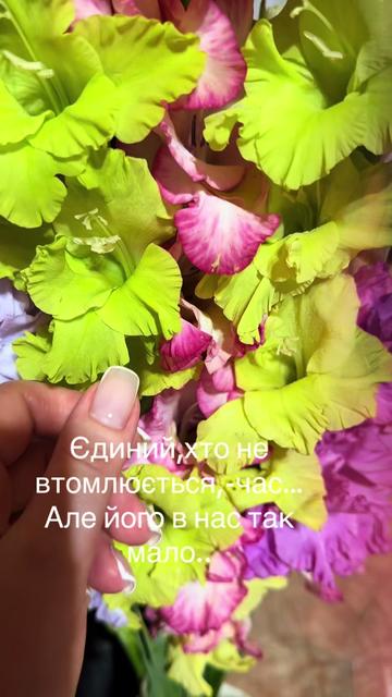 @💙🪷𝓐𝓵𝓲𝓼𝓪🪷💛
