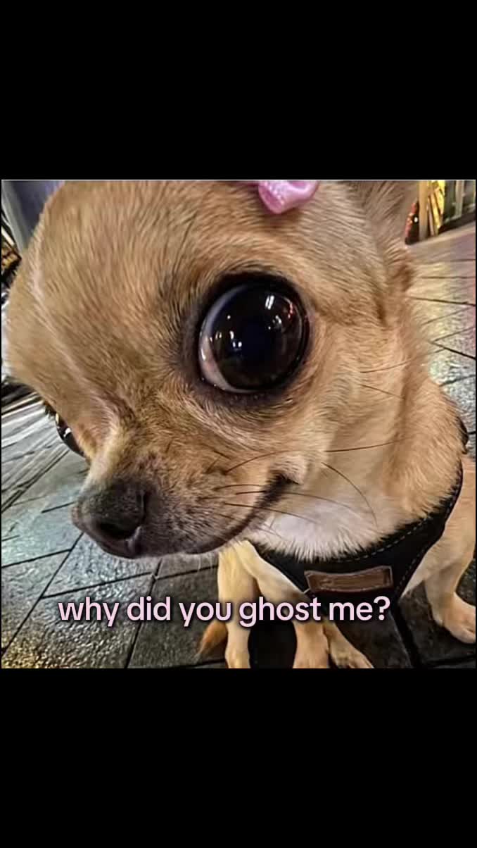 @ᥫ᭡🅙🧸