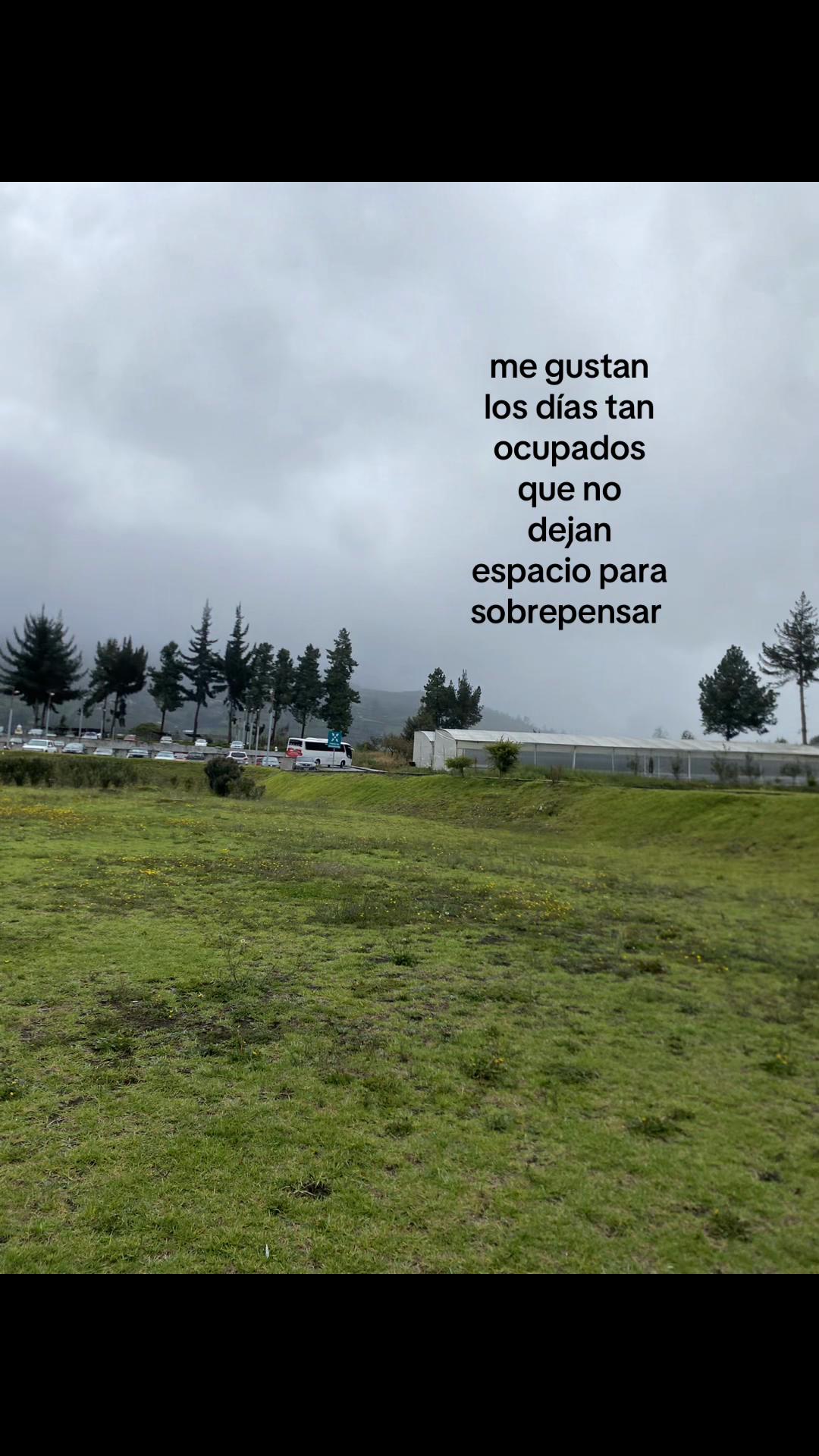 @~D.   🦦