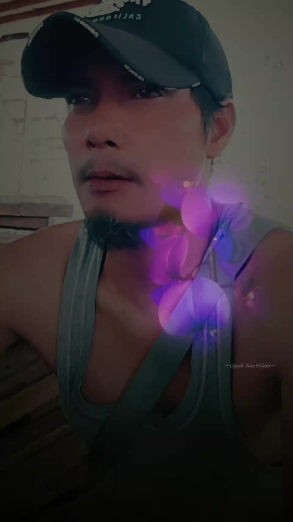 @HONO