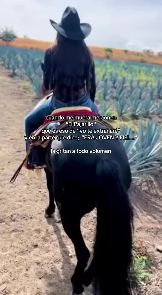 @𝑨𝒅𝒅𝒊𝒆 ᥫ᭡