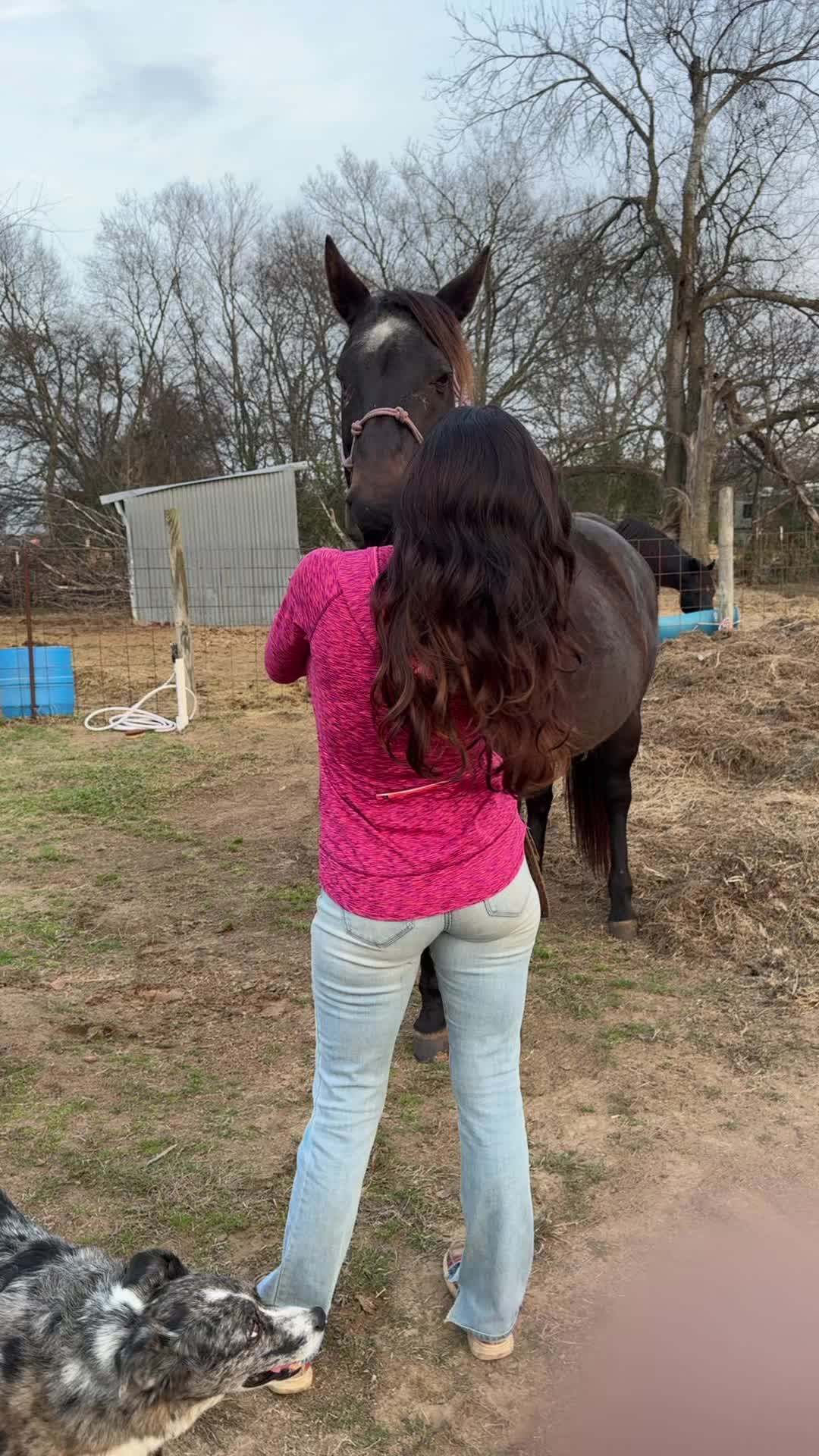 @equinelady56