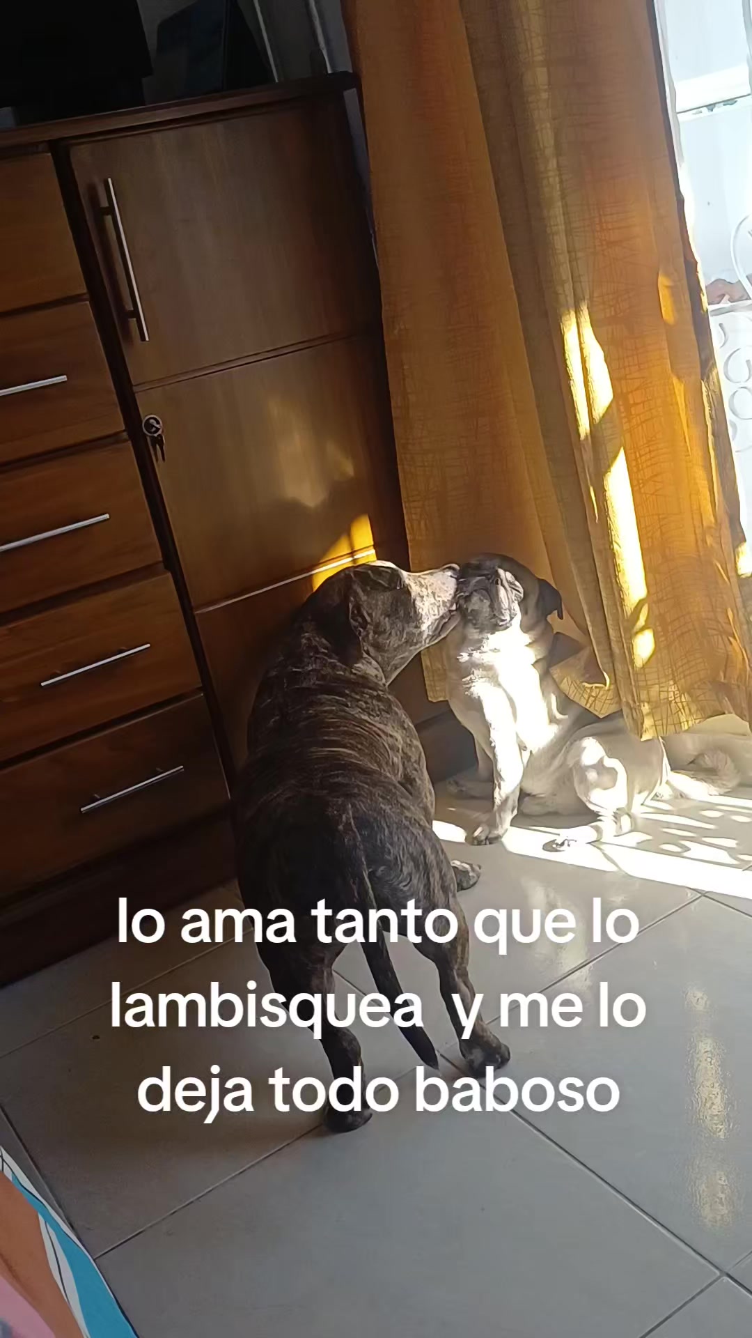 @dulce luna