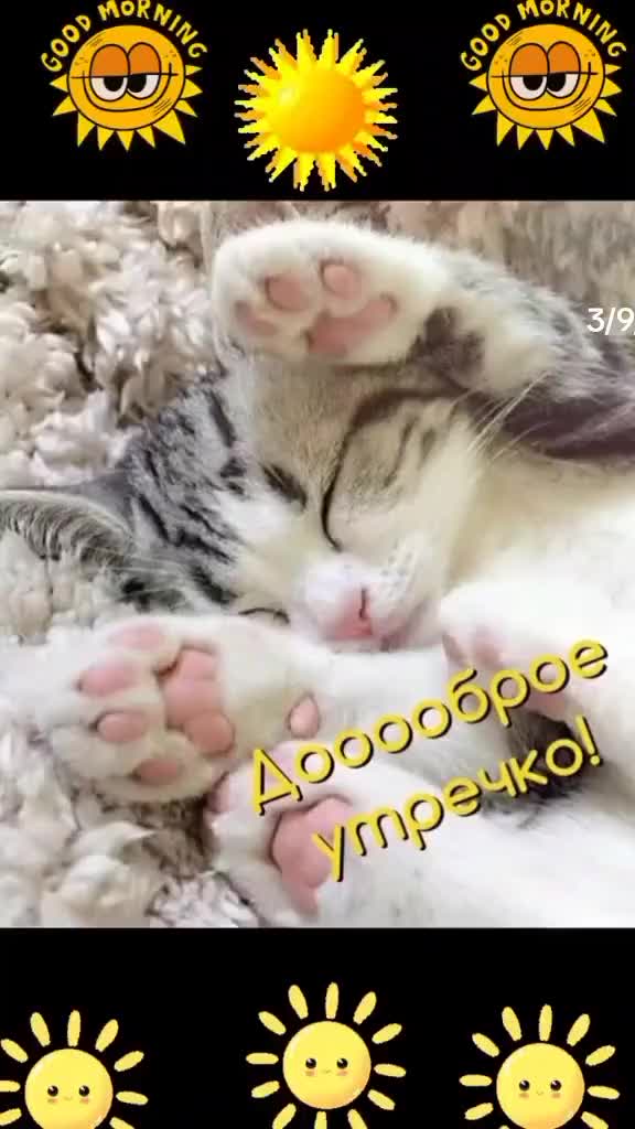 @_laura537