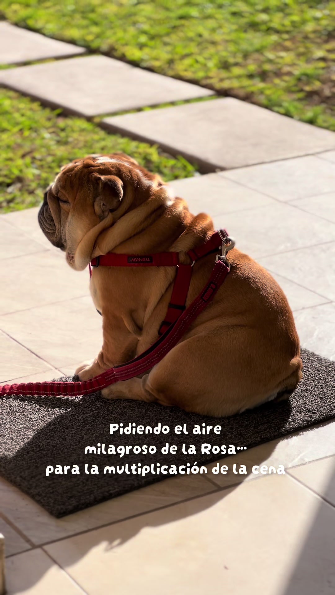 @Campeón Winston