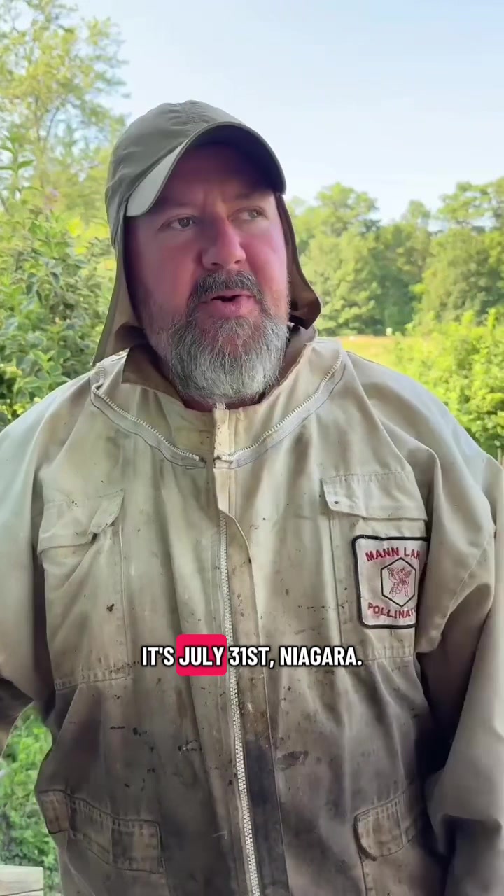 @The Angry Beekeeper🇨🇦