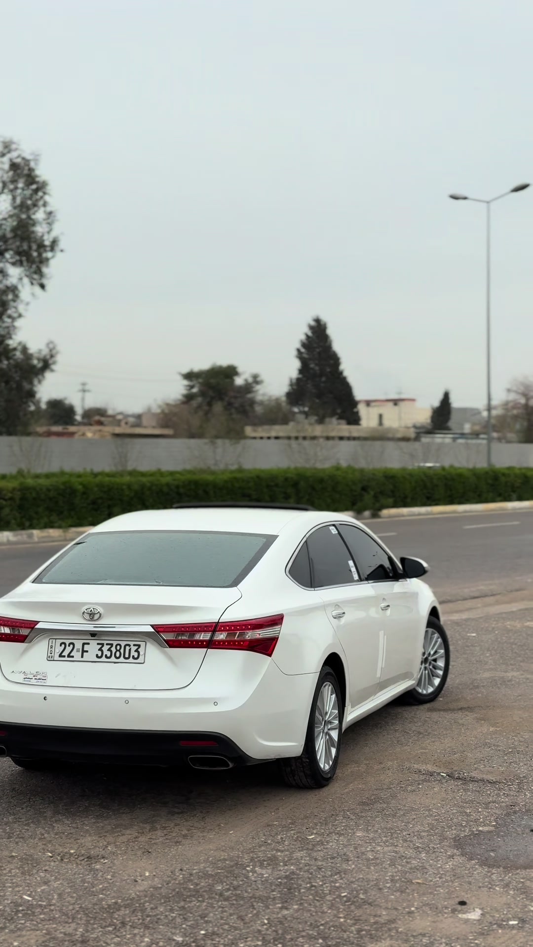 @avalon____limited