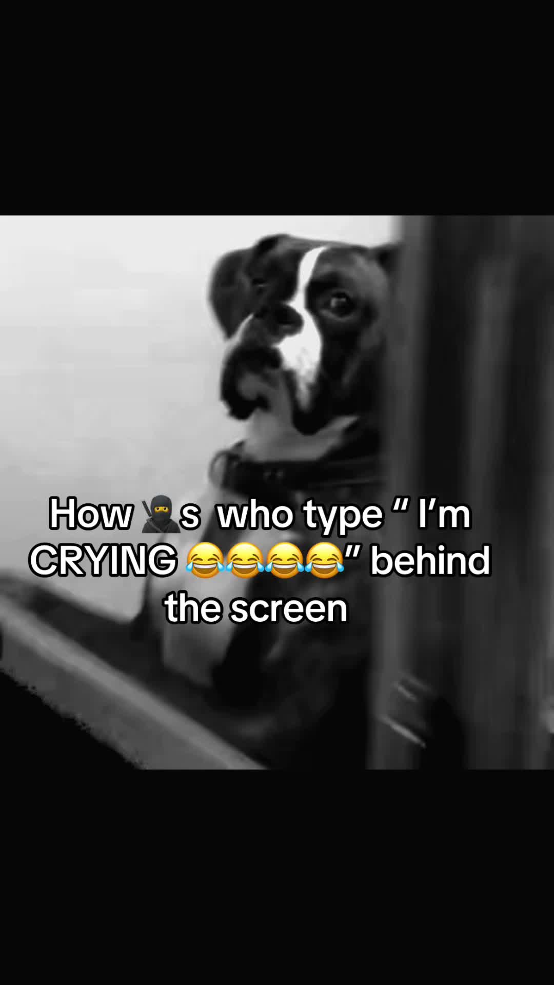 @￴￴