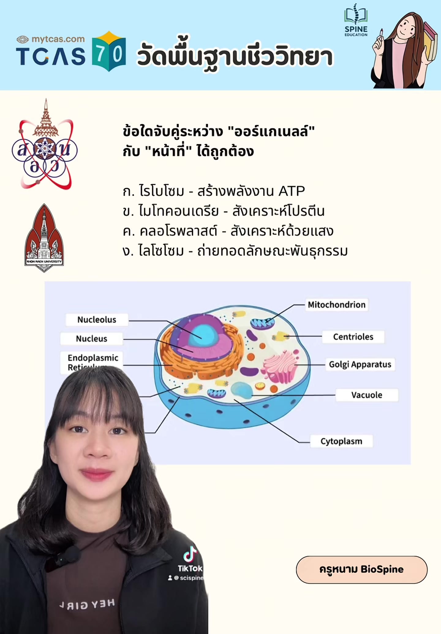 @Biospine by ครูหนาม
