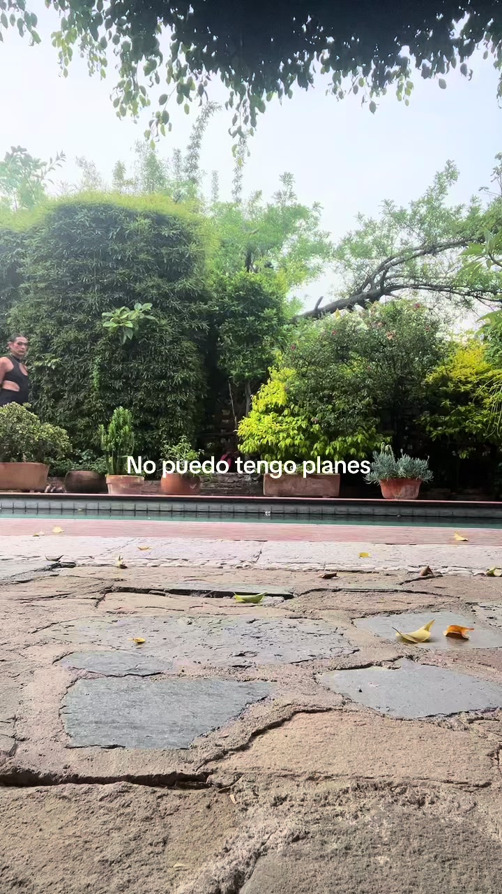 @Vida Piedra Baron