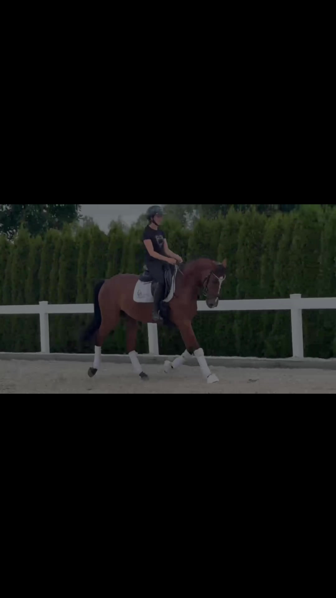 @diaryofequestrian