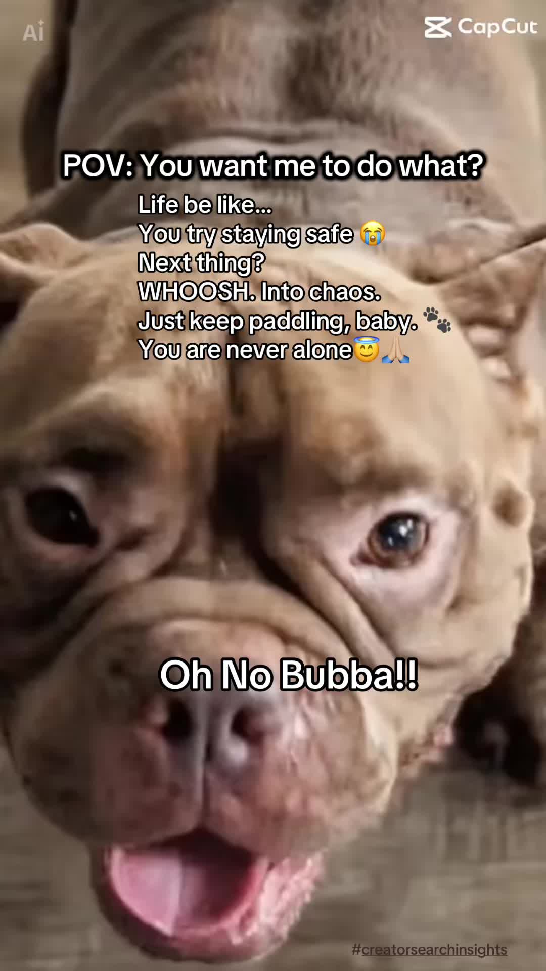 @Dog🐶Mama🐶Grandma