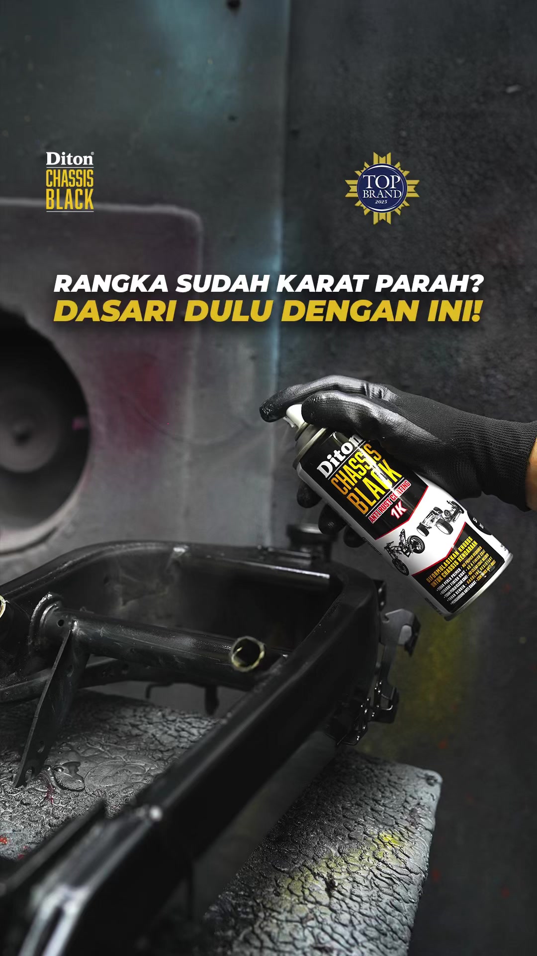 @Diton Premium