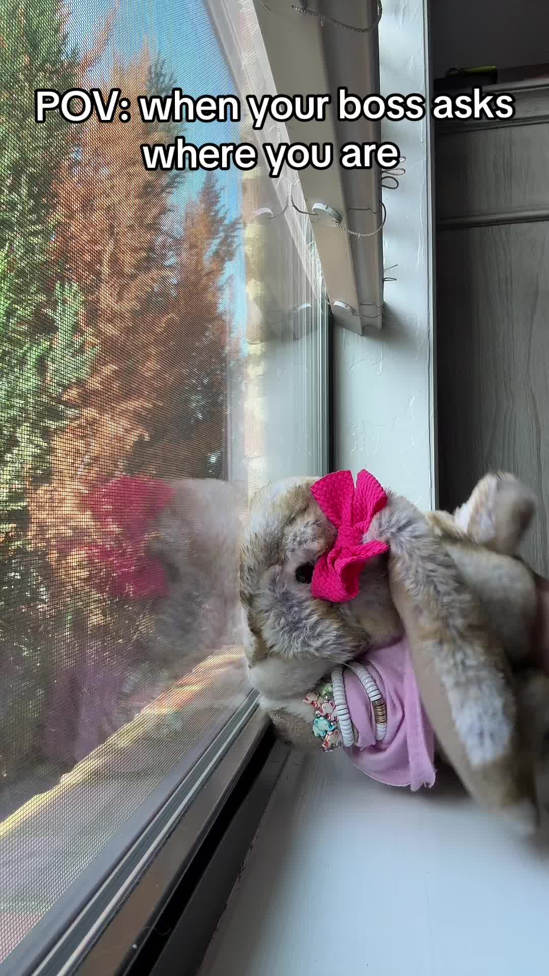 @rabbitdaisymae