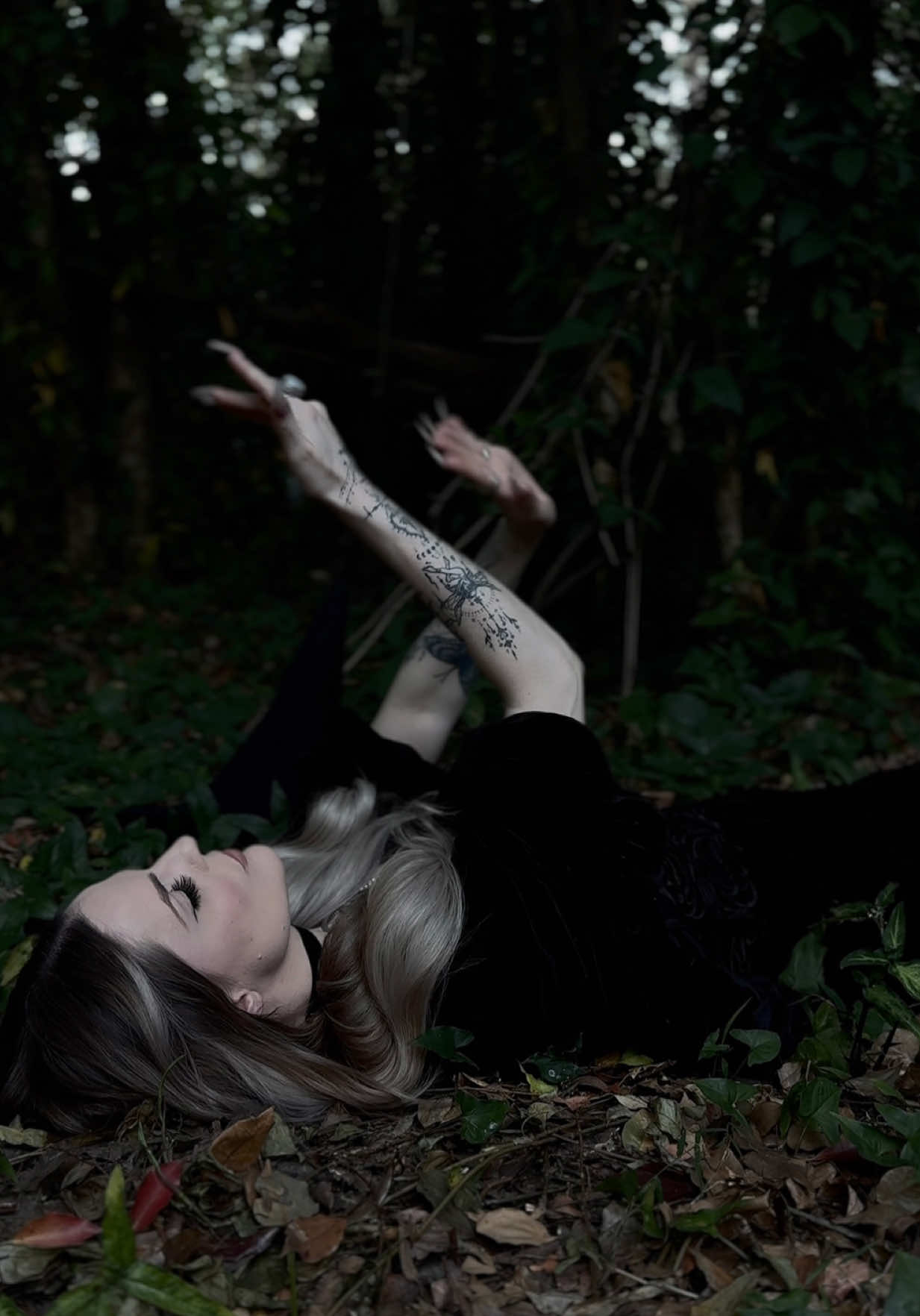 @Stella🔮 Witch of the Moon 🌙