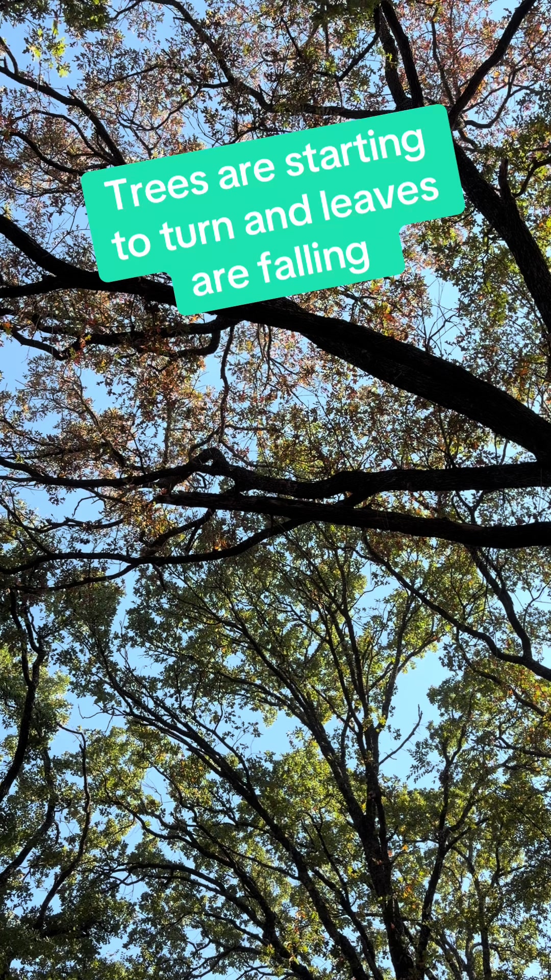 @Cindy.❌