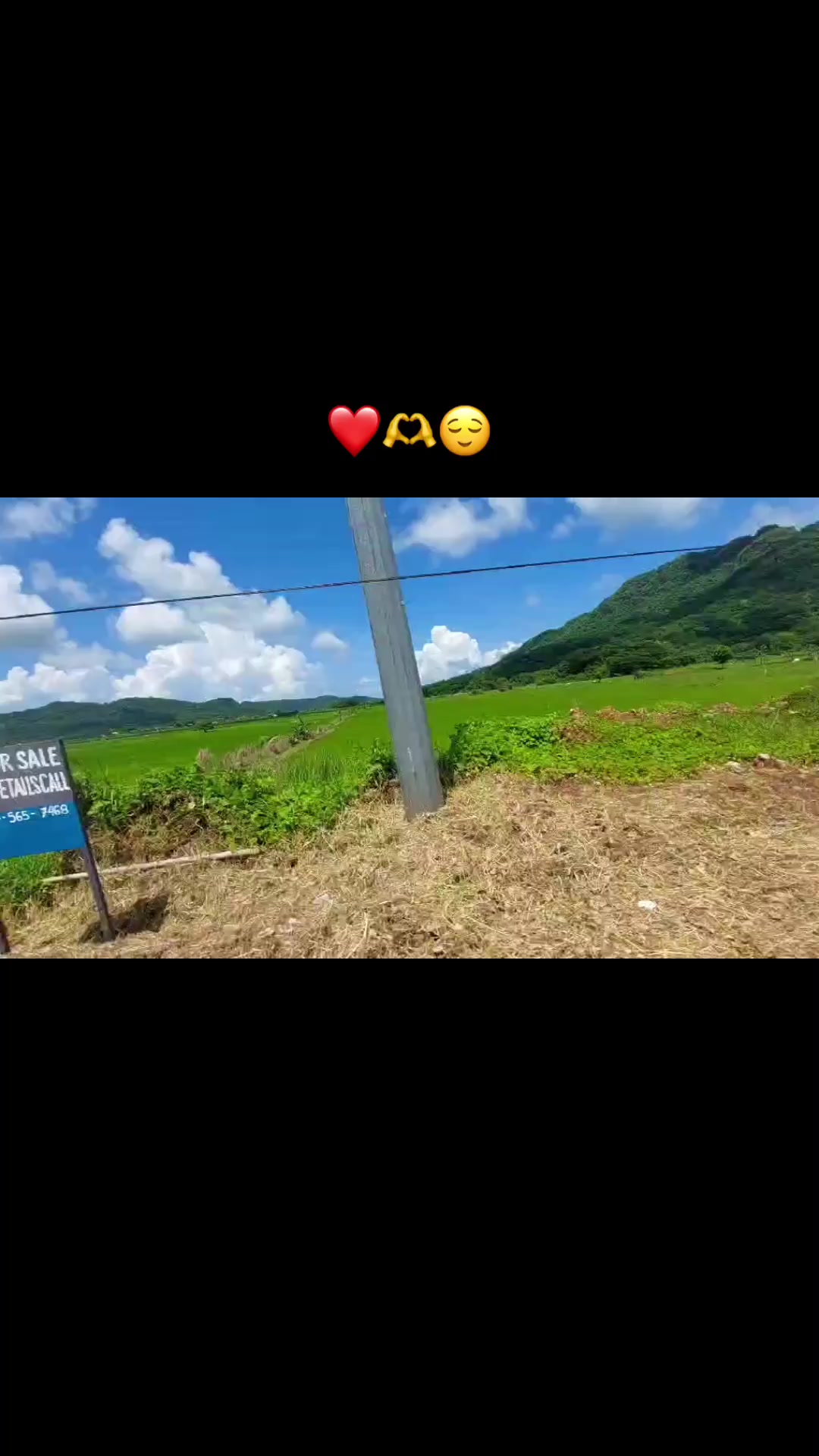@KMDS🦋
