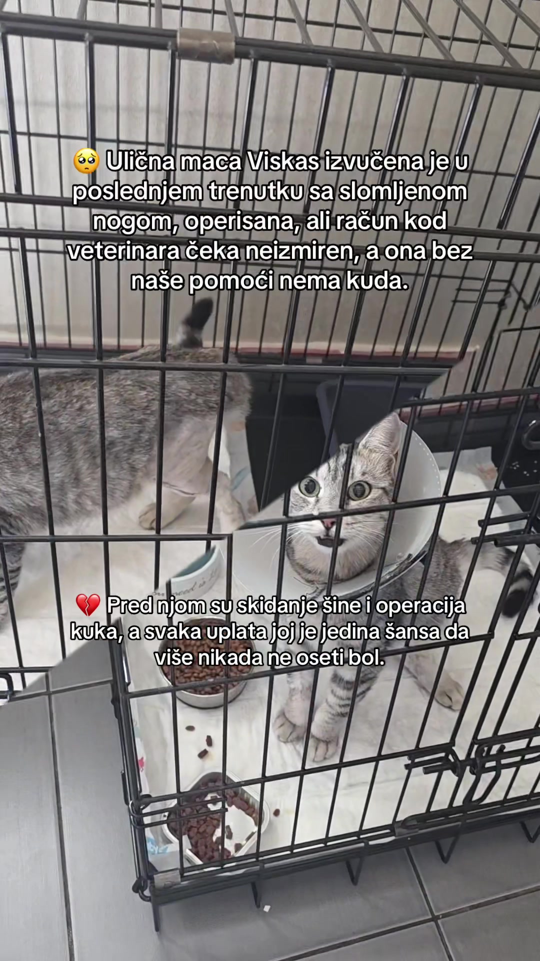 @cosanostrapurr