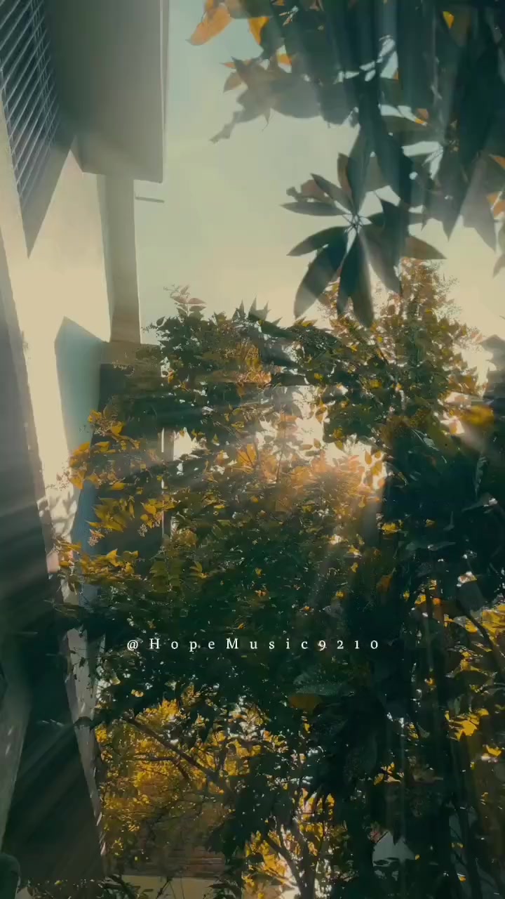 @Hope🦋🌻