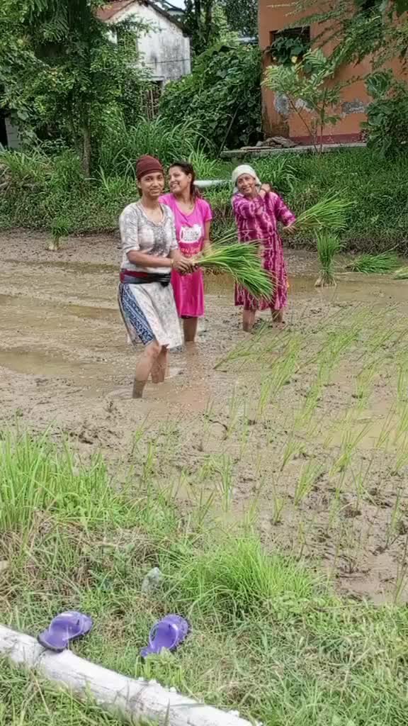 @Ree Ta Bhattarai
