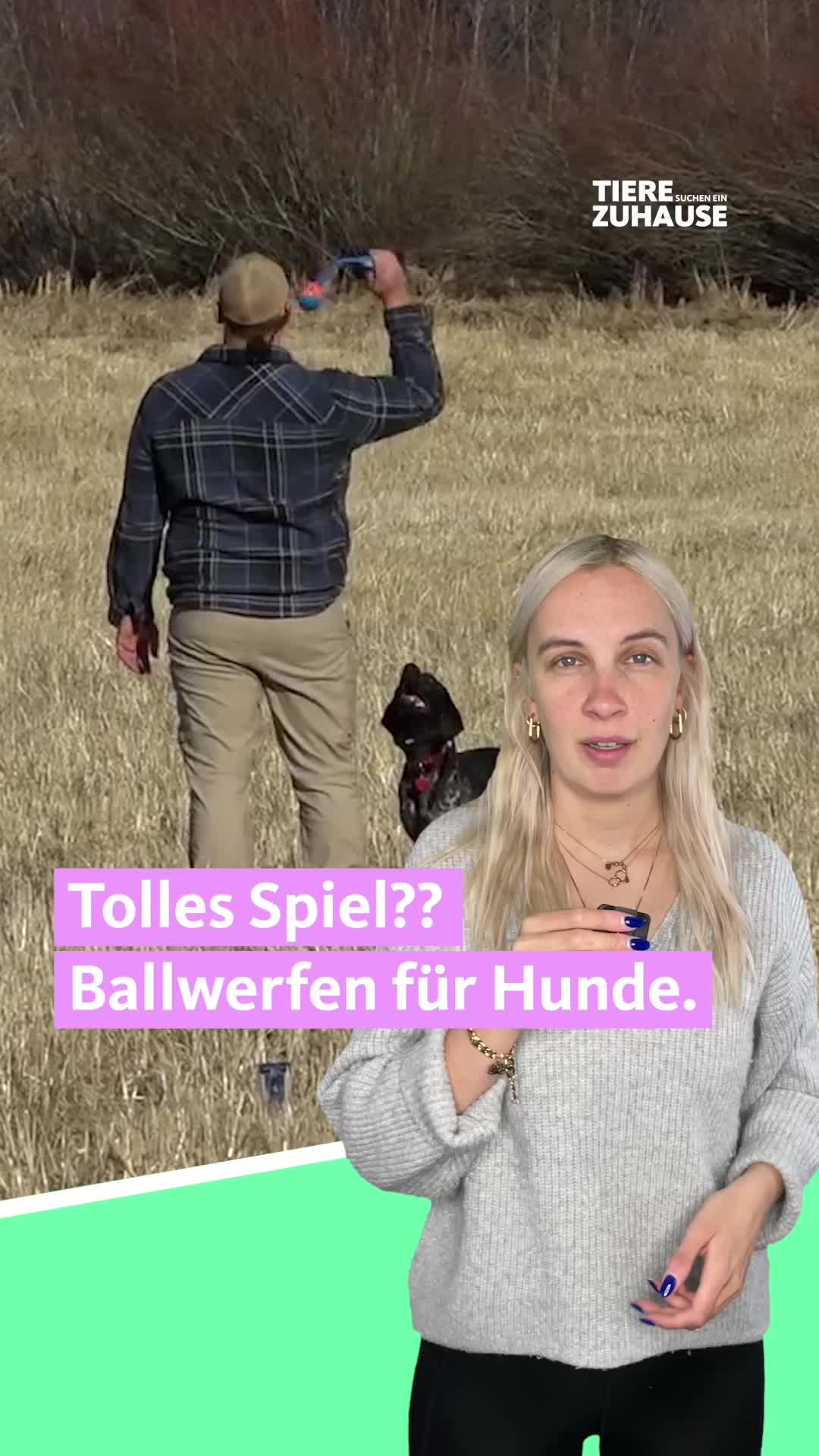 @Tiere suchen ein Zuhause