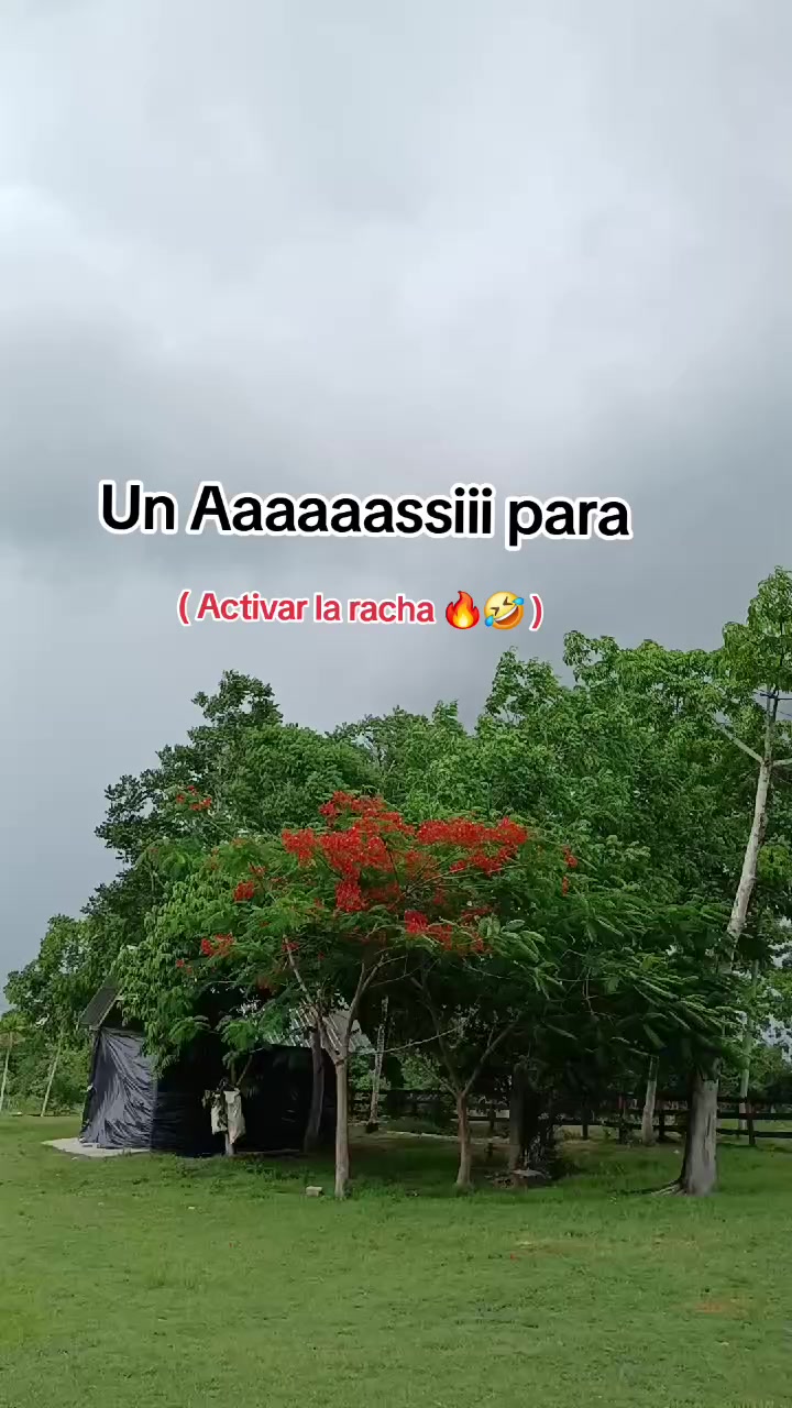 @🔥Roldangt17Oficial✅️